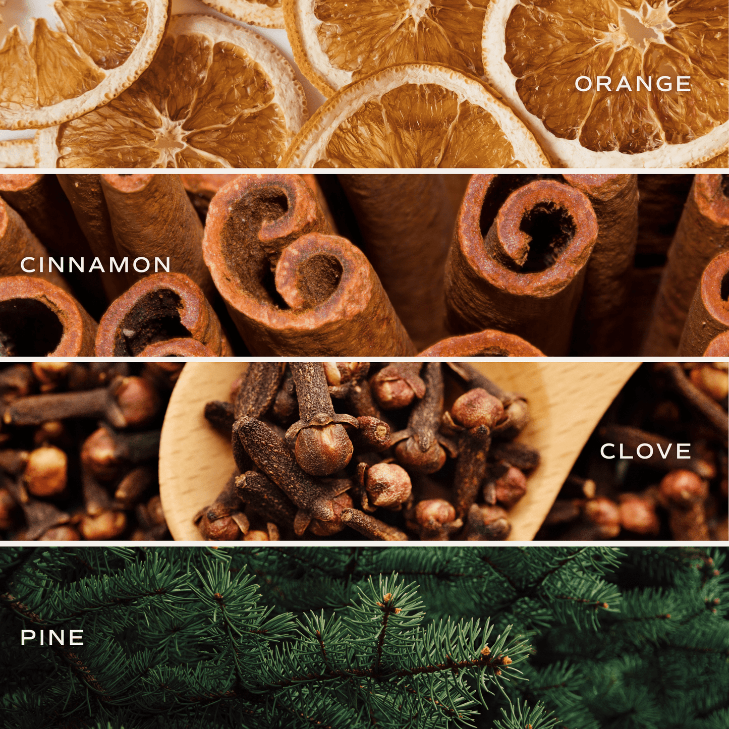 Warm and Cozy 12 oz Boxed Soy Candle - Christmas Gifts