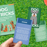 Dog Tricks