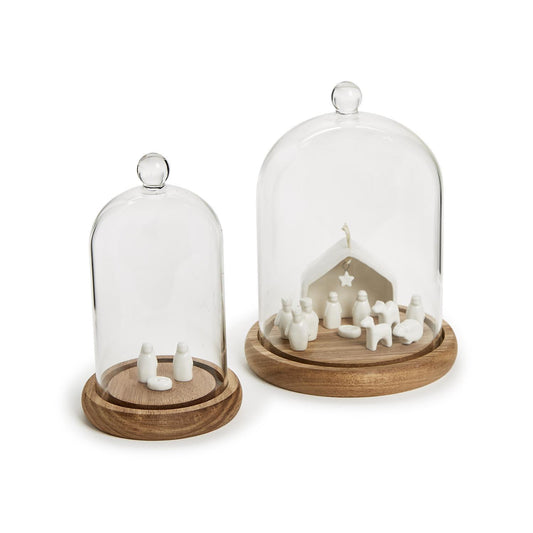 Sm glass cloche with wooden base