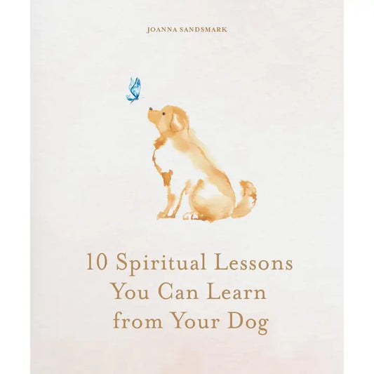 10 Spiritual Lessons You Can Learn from Your Dog