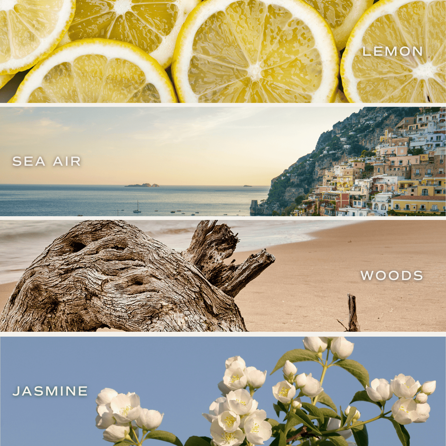*NEW* Coastal Lemon 15 oz Soy Candle, Matte Jar - Home Decor