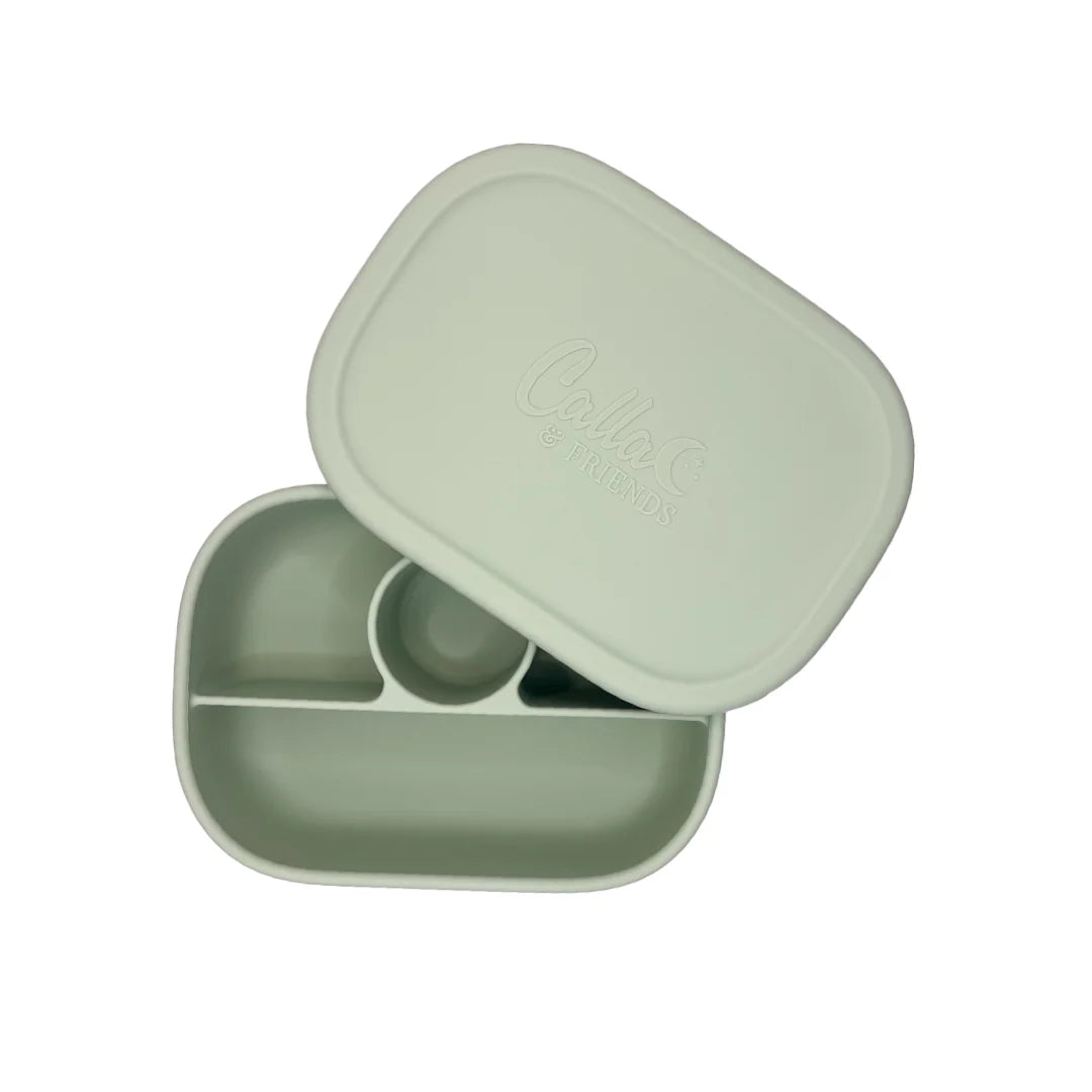 Hayden Bento Box