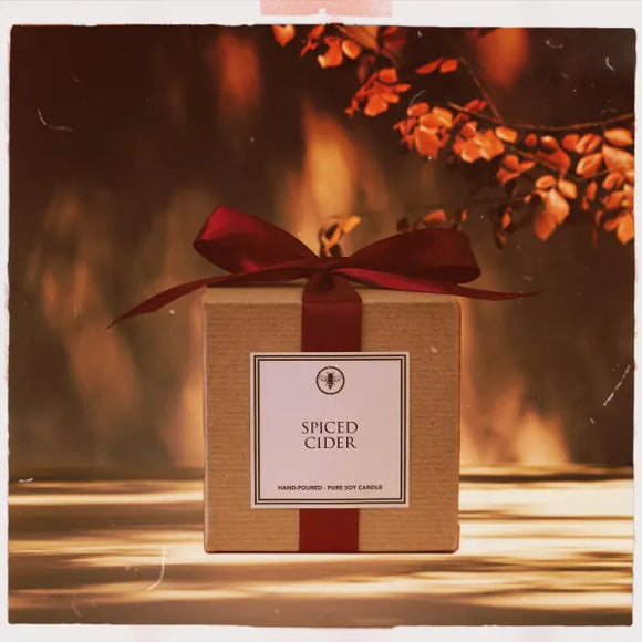 Spiced Cider boxed candle