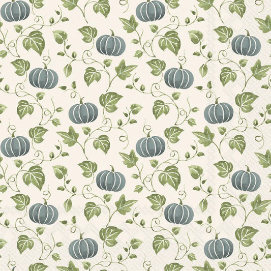 Simple Pumpkin Blue Cocktail Napkins 20 Ct Fall Autumn