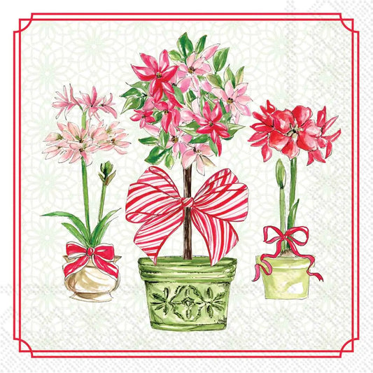 Paper Cocktail Napkins 20Ct Holiday Poinsettias Rosanne Beck