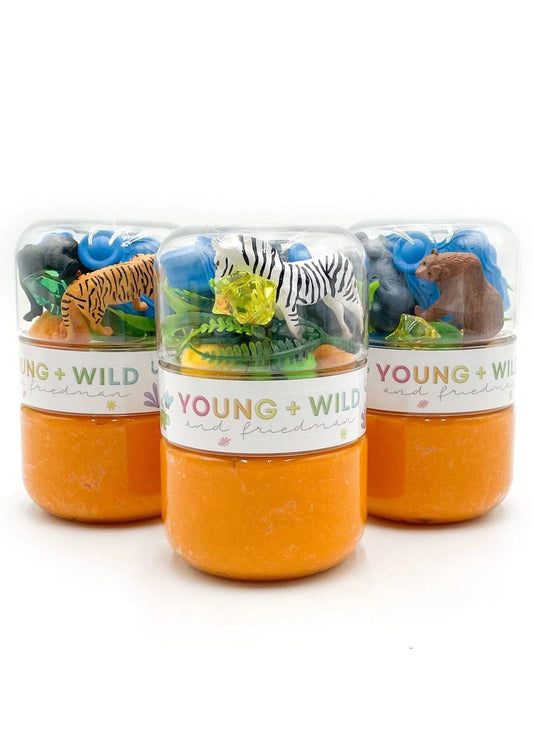 Grab & Go Dough Jar - Zoo
